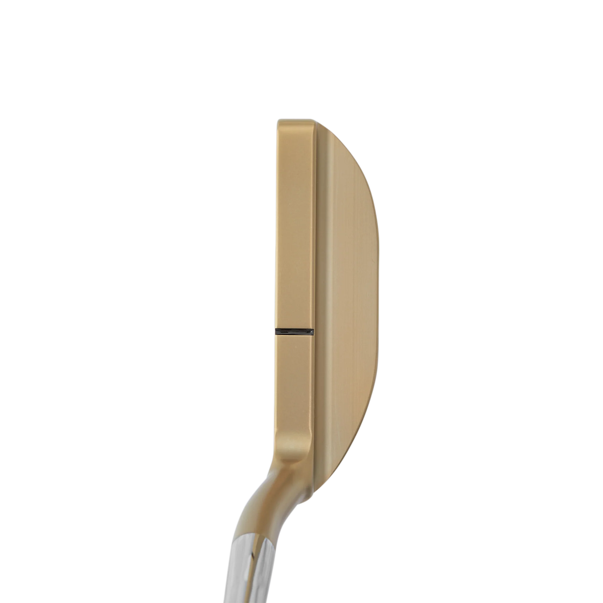DASS Hexperimental Proto Gold Flame Betti Bomb BB2 Putter - Image 2