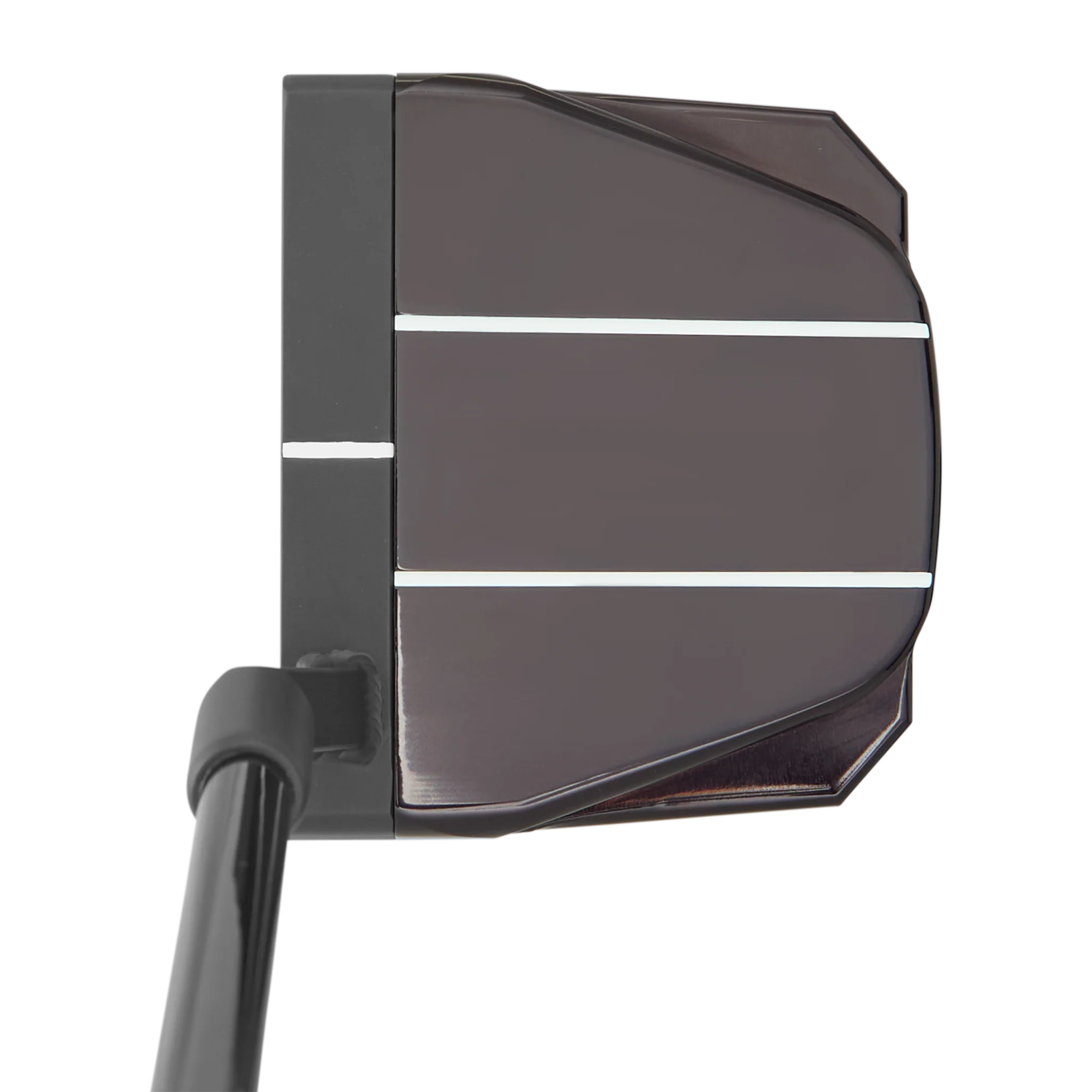 Gone Fishin’ 2024 Poison Betti Bomb INOVAI 9.0 Putter - Image 2
