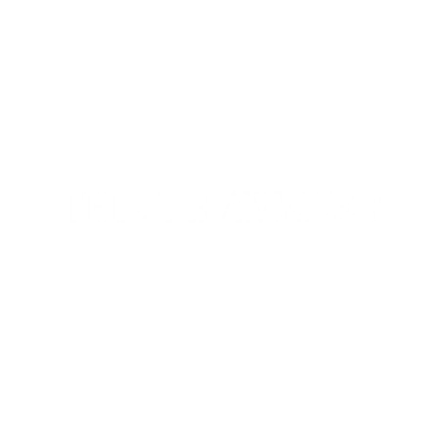 The Traveler - Black Desert